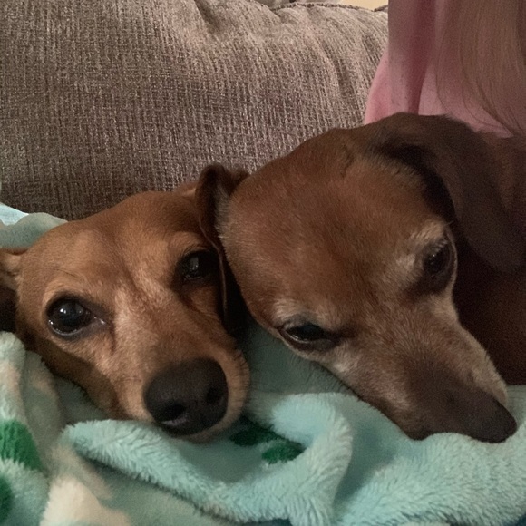 Meet your Posher, Andrea - Picture 4 of 6